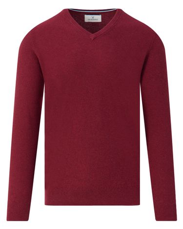 The BLUEPRINT Premium Trui V-hals