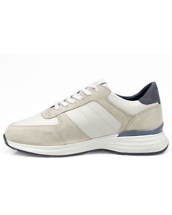 Campbell Sneakers